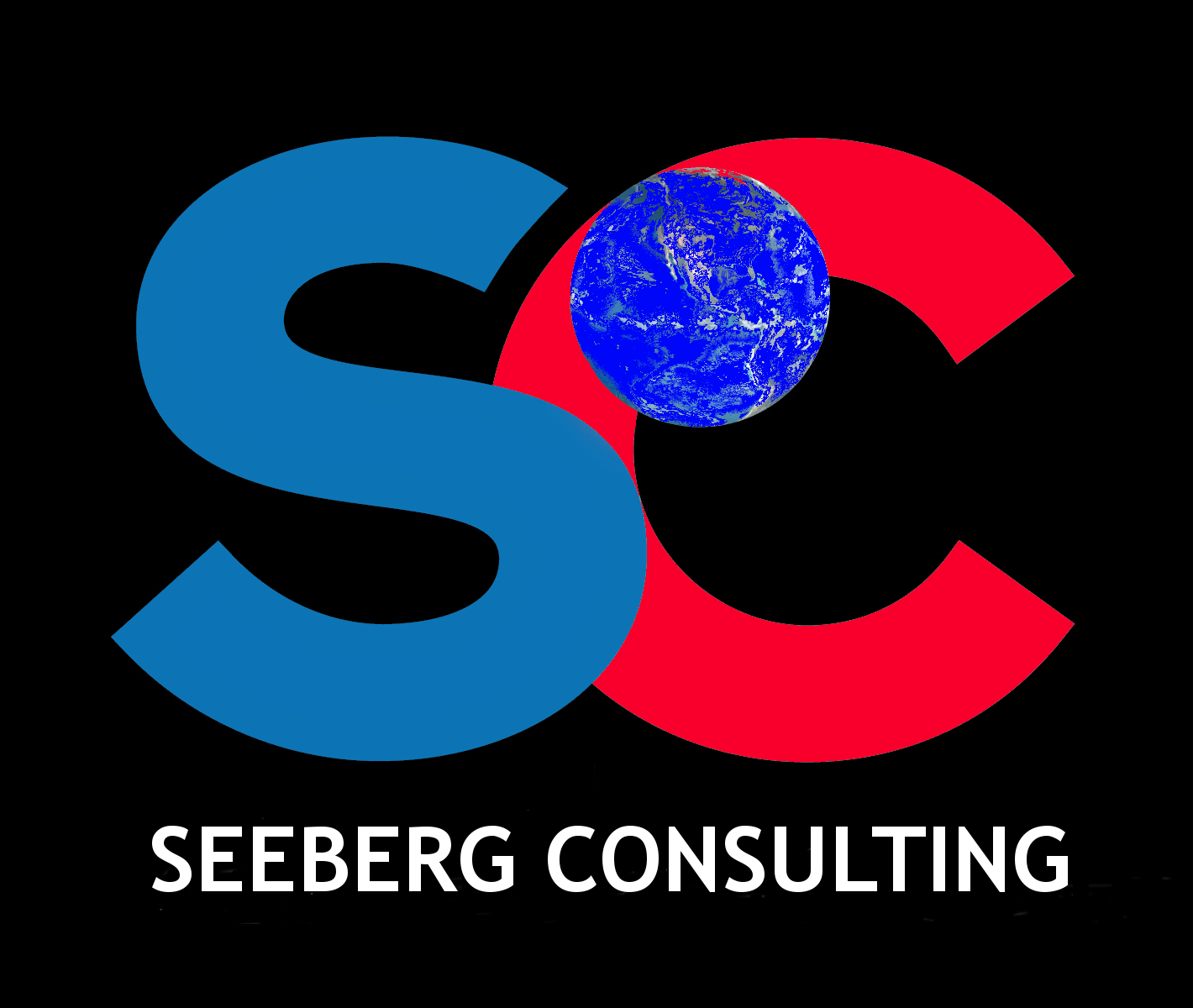 Seeberg Consulting